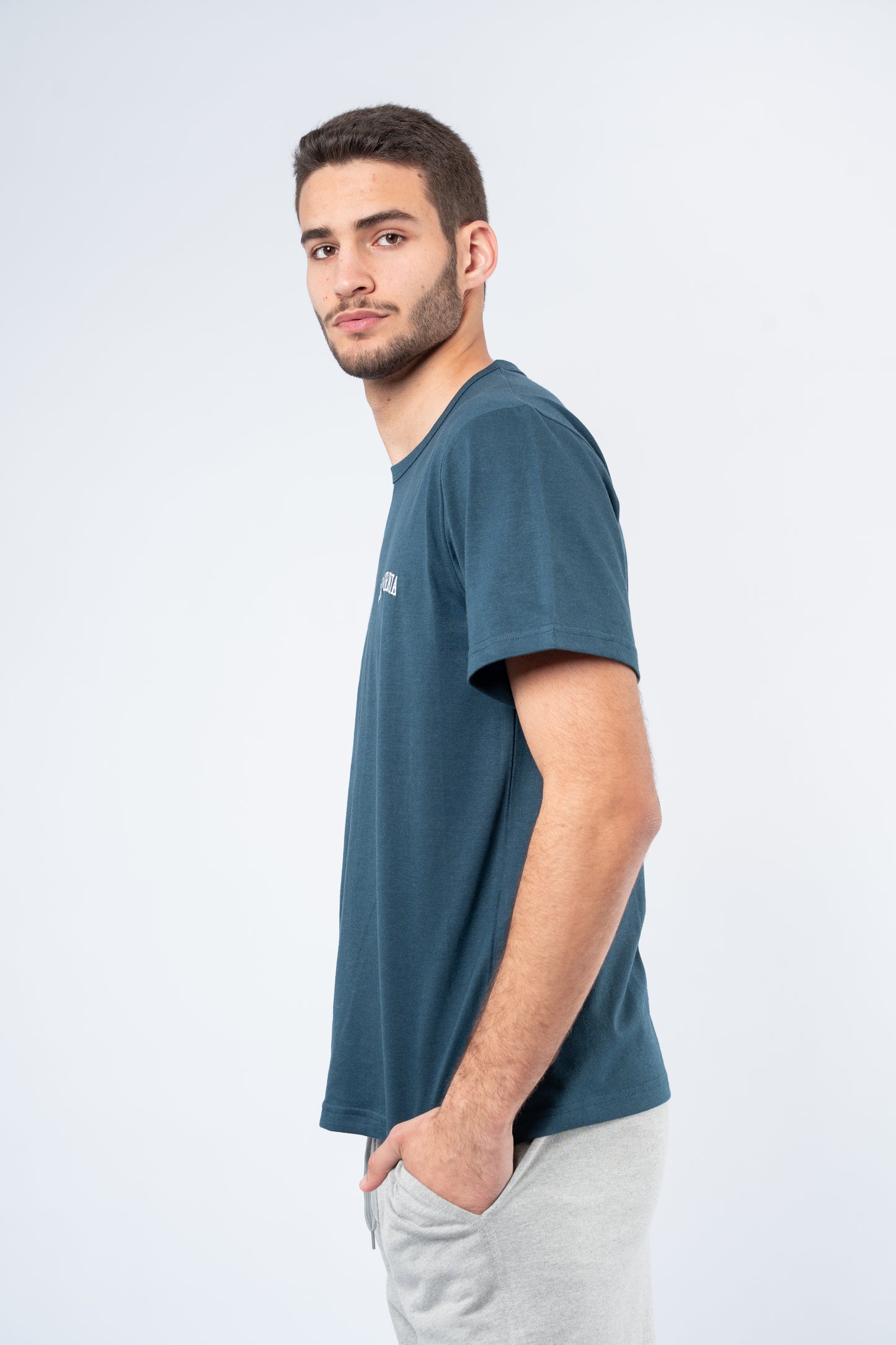 Embroidery Slim fit T-shirt